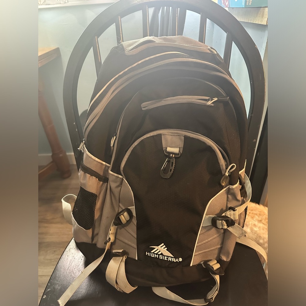 High Sierra Back Pack